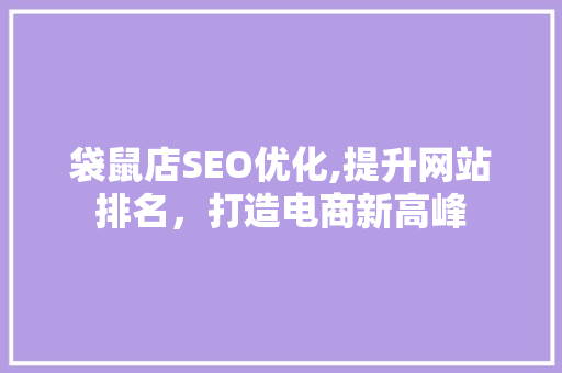 袋鼠店SEO优化,提升网站排名，打造电商新高峰