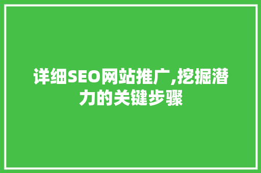 详细SEO网站推广,挖掘潜力的关键步骤