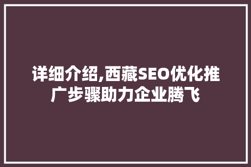 详细介绍,西藏SEO优化推广步骤助力企业腾飞