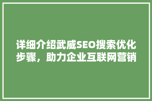 详细介绍武威SEO搜索优化步骤，助力企业互联网营销腾飞