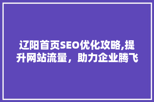 辽阳首页SEO优化攻略,提升网站流量，助力企业腾飞
