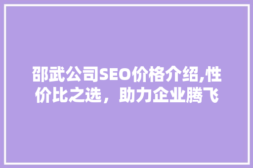 邵武公司SEO价格介绍,性价比之选，助力企业腾飞