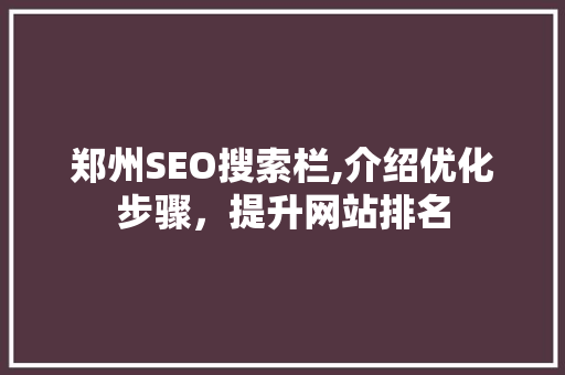 郑州SEO搜索栏,介绍优化步骤，提升网站排名