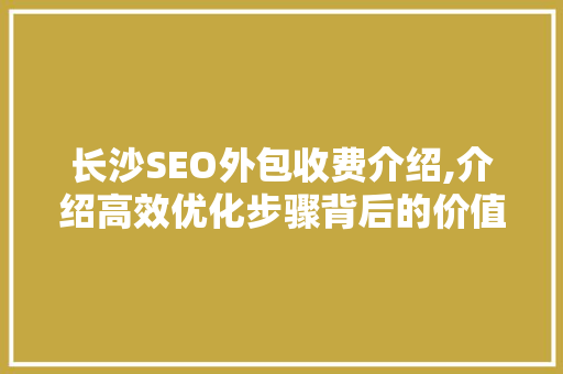 长沙SEO外包收费介绍,介绍高效优化步骤背后的价值