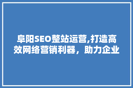 阜阳SEO整站运营,打造高效网络营销利器，助力企业腾飞
