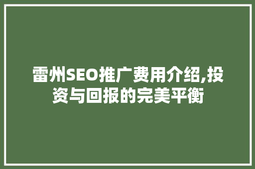 雷州SEO推广费用介绍,投资与回报的完美平衡