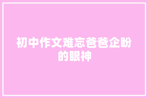 163seonet,介绍网络安全新利器，守护数字世界安全防线
