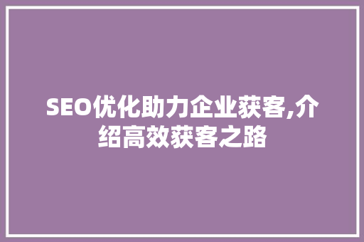 SEO优化助力企业获客,介绍高效获客之路