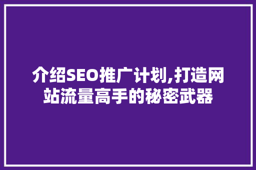 介绍SEO推广计划,打造网站流量高手的秘密武器
