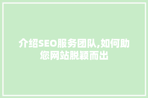 介绍SEO服务团队,如何助您网站脱颖而出