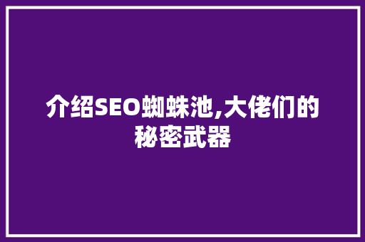 介绍SEO蜘蛛池,大佬们的秘密武器