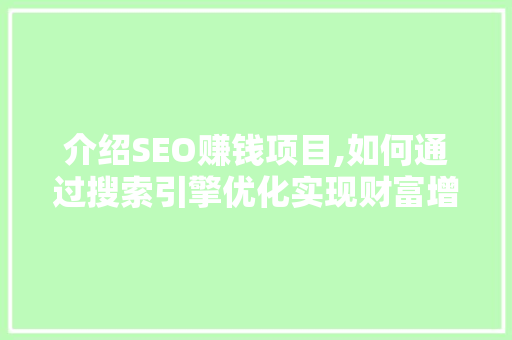 介绍SEO赚钱项目,如何通过搜索引擎优化实现财富增长