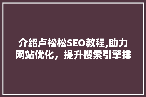介绍卢松松SEO教程,助力网站优化，提升搜索引擎排名