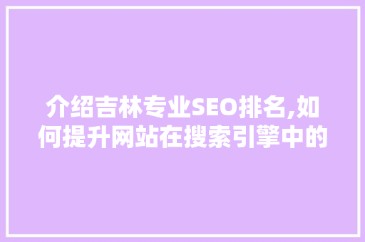 介绍吉林专业SEO排名,如何提升网站在搜索引擎中的地位