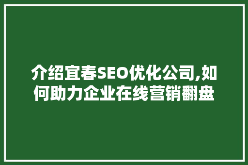 介绍宜春SEO优化公司,如何助力企业在线营销翻盘