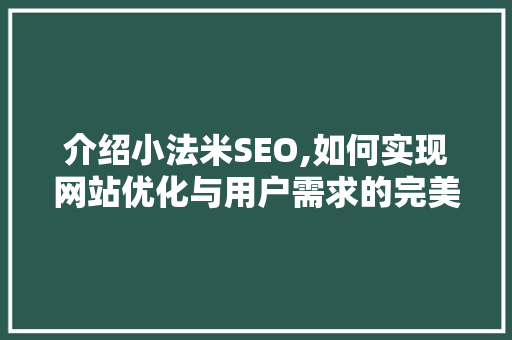 介绍小法米SEO,如何实现网站优化与用户需求的完美契合  第1张