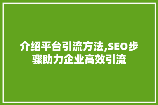 介绍平台引流方法,SEO步骤助力企业高效引流