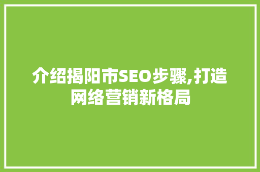 介绍揭阳市SEO步骤,打造网络营销新格局