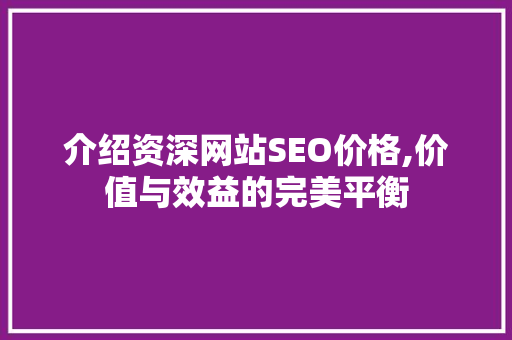 介绍资深网站SEO价格,价值与效益的完美平衡