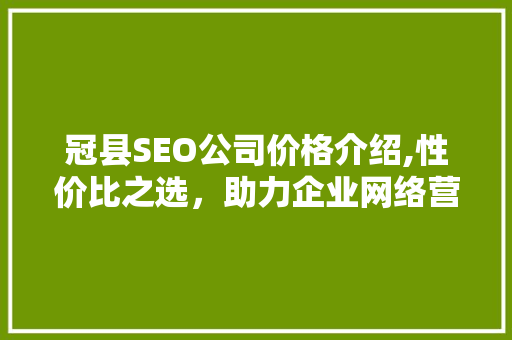 冠县SEO公司价格介绍,性价比之选，助力企业网络营销