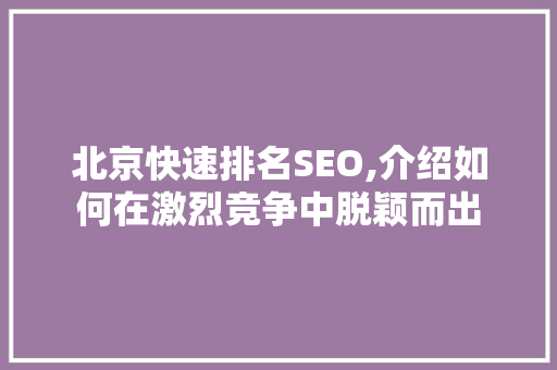 北京快速排名SEO,介绍如何在激烈竞争中脱颖而出