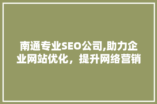 南通专业SEO公司,助力企业网站优化，提升网络营销效果