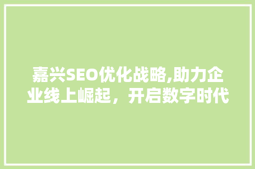 嘉兴SEO优化战略,助力企业线上崛起，开启数字时代新篇章