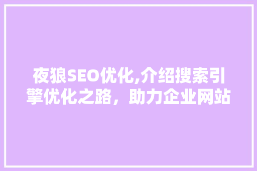 夜狼SEO优化,介绍搜索引擎优化之路，助力企业网站脱颖而出