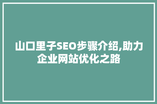 山口里子SEO步骤介绍,助力企业网站优化之路