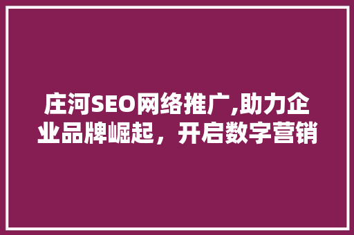 庄河SEO网络推广,助力企业品牌崛起，开启数字营销新篇章