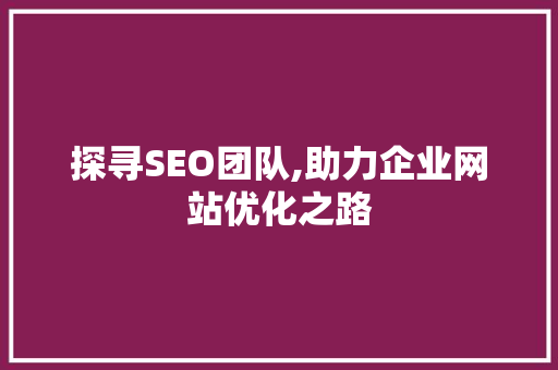 探寻SEO团队,助力企业网站优化之路