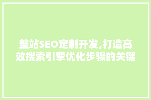 整站SEO定制开发,打造高效搜索引擎优化步骤的关键路径