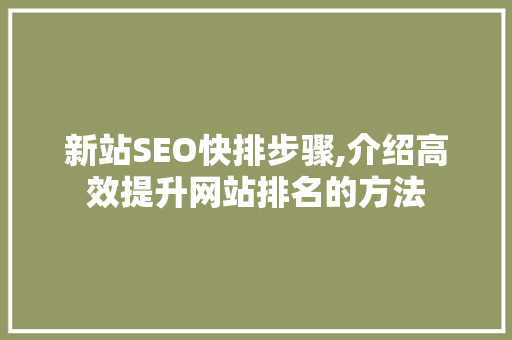 新站SEO快排步骤,介绍高效提升网站排名的方法