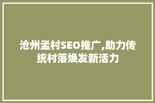 沧州孟村SEO推广,助力传统村落焕发新活力