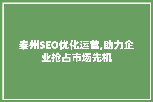 泰州SEO优化运营,助力企业抢占市场先机