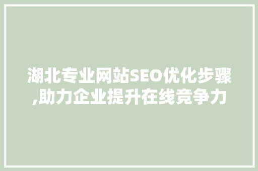 湖北专业网站SEO优化步骤,助力企业提升在线竞争力