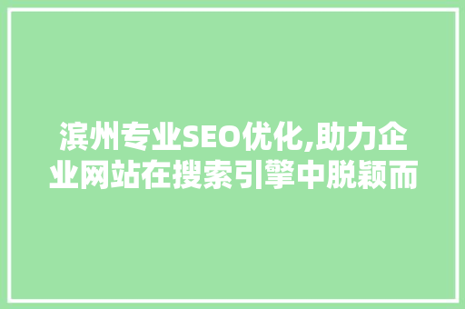 滨州专业SEO优化,助力企业网站在搜索引擎中脱颖而出