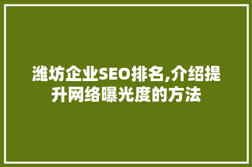 潍坊企业SEO排名,介绍提升网络曝光度的方法