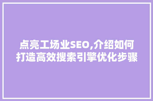 点亮工场业SEO,介绍如何打造高效搜索引擎优化步骤