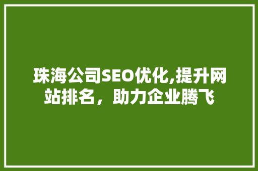 珠海公司SEO优化,提升网站排名，助力企业腾飞