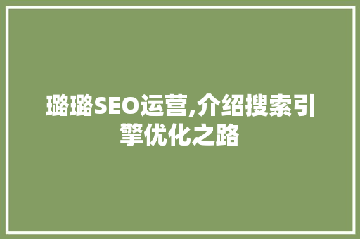 璐璐SEO运营,介绍搜索引擎优化之路