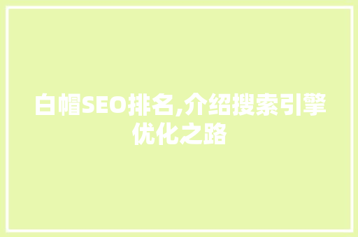 白帽SEO排名,介绍搜索引擎优化之路