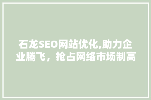 石龙SEO网站优化,助力企业腾飞，抢占网络市场制高点