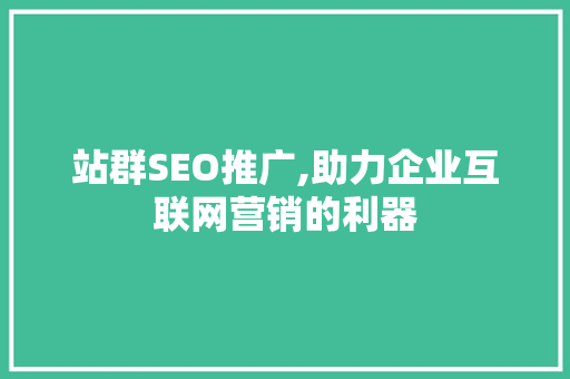 站群SEO推广,助力企业互联网营销的利器