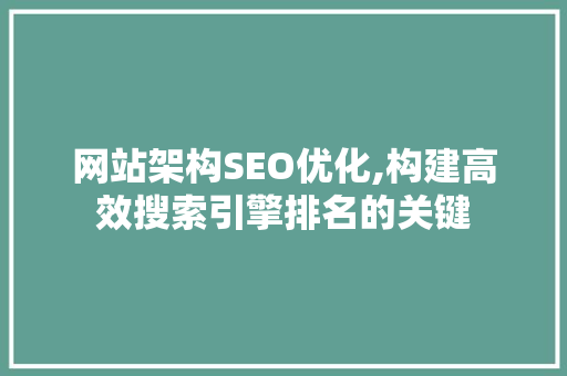 网站架构SEO优化,构建高效搜索引擎排名的关键