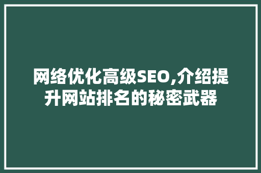 网络优化高级SEO,介绍提升网站排名的秘密武器