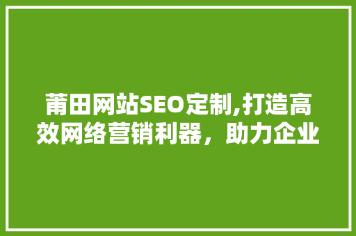 莆田网站SEO定制,打造高效网络营销利器，助力企业腾飞