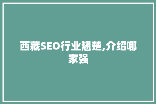 西藏SEO行业翘楚,介绍哪家强