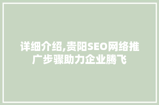 详细介绍,贵阳SEO网络推广步骤助力企业腾飞