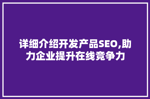 详细介绍开发产品SEO,助力企业提升在线竞争力